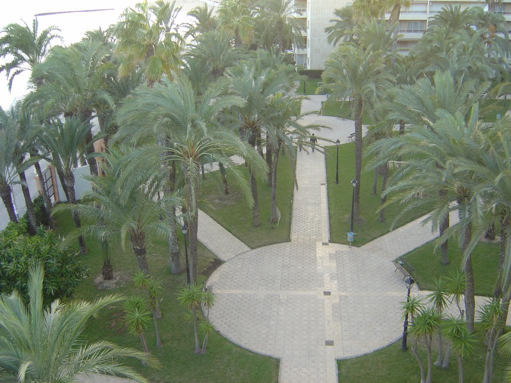 Palmeral De Torrevieja Ngoại thất bức ảnh