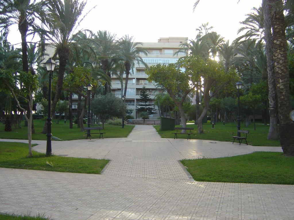 Palmeral De Torrevieja Ngoại thất bức ảnh