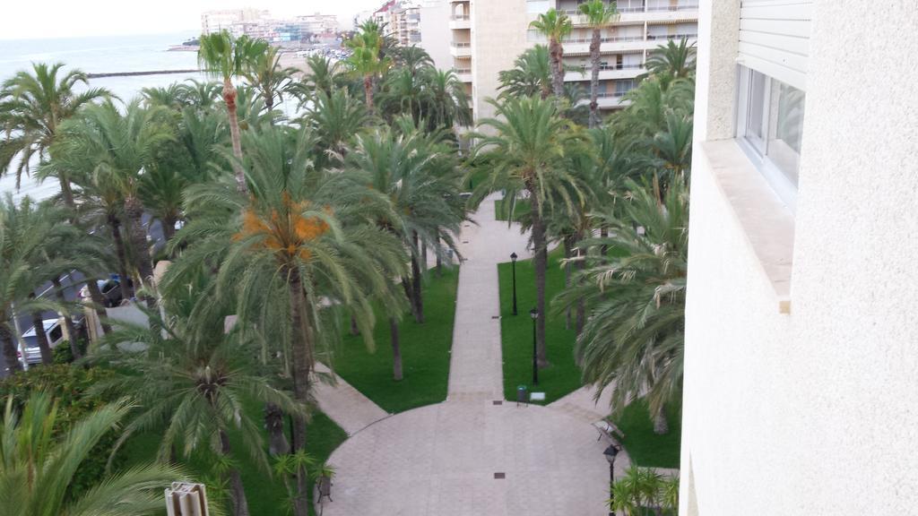 Palmeral De Torrevieja Ngoại thất bức ảnh